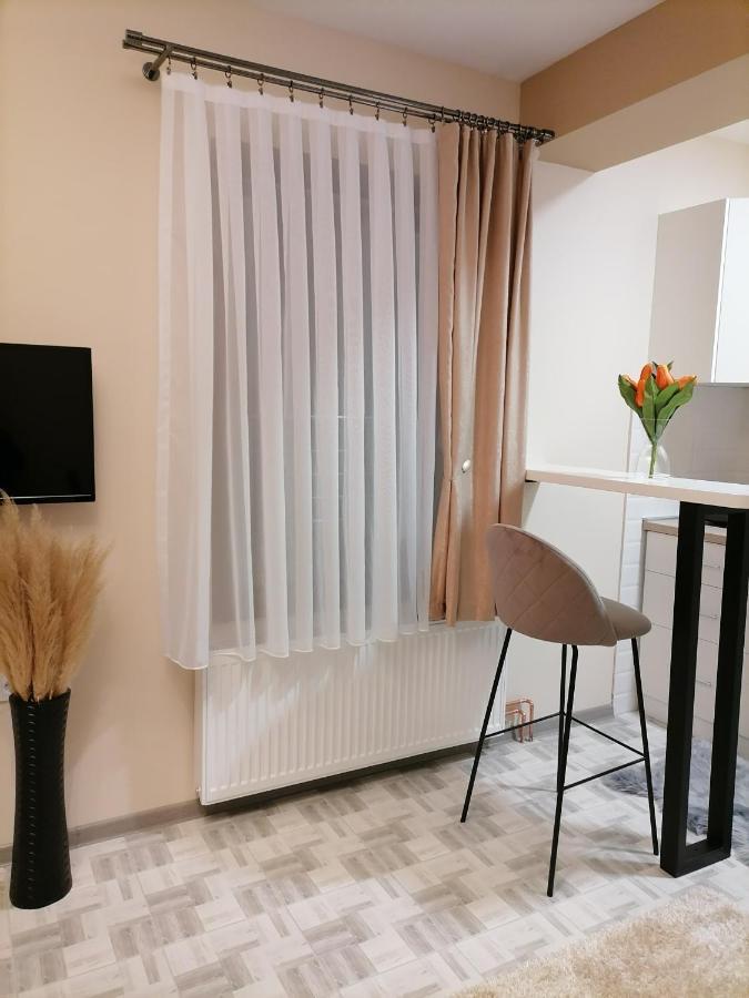 Appartement Apartman Savic à Bajina Basta Extérieur photo