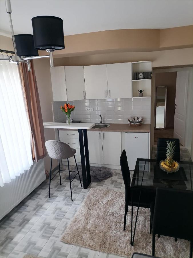 Appartement Apartman Savic à Bajina Basta Extérieur photo