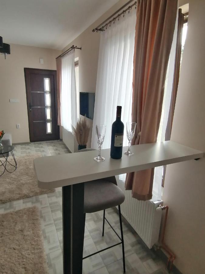 Appartement Apartman Savic à Bajina Basta Extérieur photo